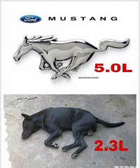 û�б�͵���˼����ֻ������һ��