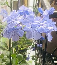 лвݵС̨+һֻСƹҵ˼ֵ