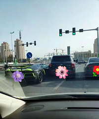 �������������ϡ���Ǯ���Եı����ϸ硱���������ţ�������ô��