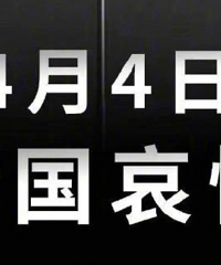 ���ֵ��Ӿ硢�����Ų�������ͣ