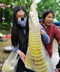 假期跟着论坛帖子出发九凤山,笋子居然只要1块钱!