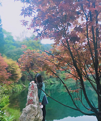 ��ɽ���ʵ��һ�죬�տ����������齫һ����������