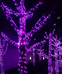 ����ֺܶ��겻��ϵ����Ȼ����ϵ���æ���߽�Ǯ��