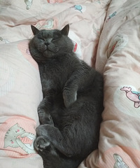 �������ѧ��ͣ��