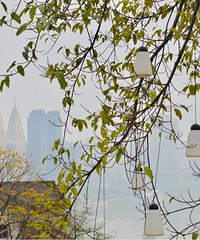 һЩ��������û�а��ߵ�·��û�а���������