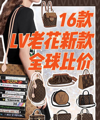 2020年16款LV老花包包全球比价