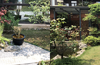 лˮ㣡װüʽ԰㶼ûʱ