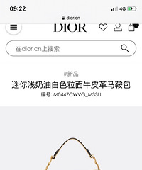 真香现场!买到了重庆据说唯一一只牛油果绿的Dior马鞍包~