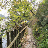 赏湖景、露天泡汤、挖折耳根、吃土鸡火锅,这个民宿轻松浪费一天