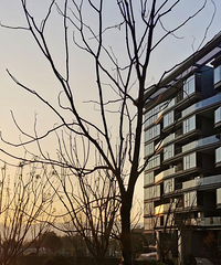 138ƽ365ƽ԰װҵԺˬ