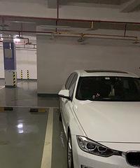 ����������ھ�˵ͣ��̫�����ˣ���Ҷ���������