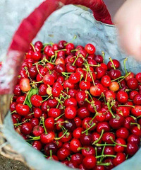 2020ժӣҵͼܱ߿ժӣҵĺõط