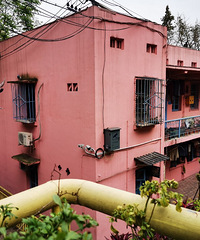 ���������ʯ��С��壬ʯ���µ�����������̫������