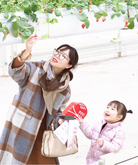 ����վ��ժ��ݮһ�㲻�ۣ����һ������ʺ�����