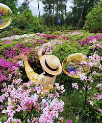 莺飞草长、花开正好+【带娃放风】