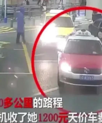 100๫·̵ĸ1200ԪŮӲͷƤϳºȴûǮ