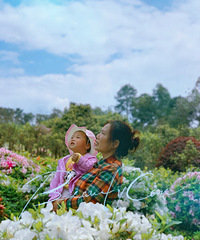 工作日都很多游客的放牛村杜鹃花,抓紧时间赶紧去