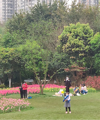 ͻաҰ͡ޡèطһվʵ