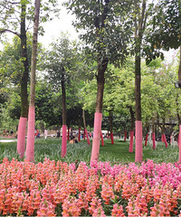 �ͻ������ա�Ұ�͡����ޡ���è������������ط�һվʵ��