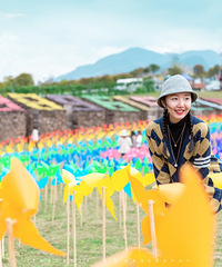 放风筝的最佳地点,还可以和五彩斑斓的风车合影