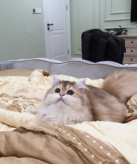 ҲèСֶˣë𽥲ȻëֵǺܸ