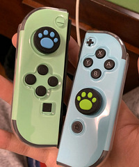 �Լ�����Ķ�ɭ�޶�Switch����̫�в���