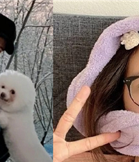 �������飿�����Ӷ����ˡ�