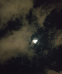 5��ǰ֪�����������˶���������û��һ�㲨��