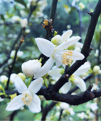 ̽Ѱ���꽭����Ͽ���ŷɹŵ�