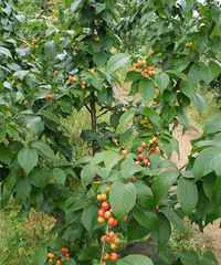 ղ̼ӣĳˣ30Ǯһ԰ҪǮ