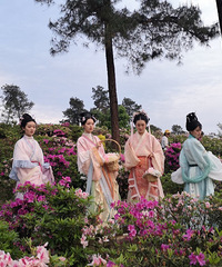 穿上你们的汉服,去找寻开满杜鹃的梦幻谷+【带娃放风】