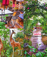 ͨ򷿣Լȴ˸280ƽĻ԰