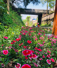 ������·����ȷ�򿪷�ʽ��������ʳȥ����