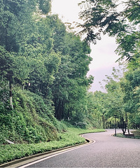 żȻ���ֵ�����õط����������»�û��