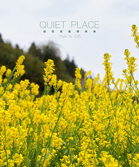 ��������ͻ������ܳԵ������������̵ĺӰ�������