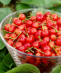 ȥɽɽӣҲժأеС󲻹ֵͦ