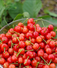 ȥɽɽӣҲժأеС󲻹ֵͦ