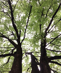 ɢĵĺõطɲ賴Ȳһ鵽