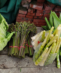 �������ɽ�����������鼦��������ӣ�Һ����ӣ�����գ�