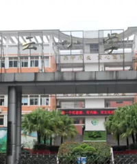 两江新区的小学盘点,招生范围、学校口碑等汇总,公办民办全都有