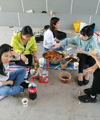 �͹���һ��Ұ�����㣬����ɭ��