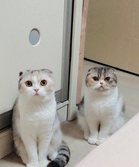 ʢ135ƽִڰ׻ңʺװ֮·