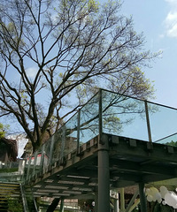 ����ɽ�������ջ���С��ϲ