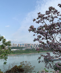 ��ɿ���ɹ�԰��Ȼ��ô������ȥ̫��ϧ��