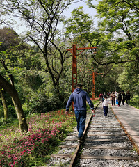 ���ɵ����죬������ͯ��ļ���