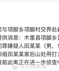凉山木里通报328森林火灾:11岁男孩点燃树木烟熏洞引发