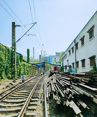 �й����ƺ��·�Ĵ壬��Ȼ�ĳ��˶����ĸо�