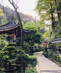 ������ɽ������һ����ѵ�˽��԰�֣���ɫ����ֲ��԰