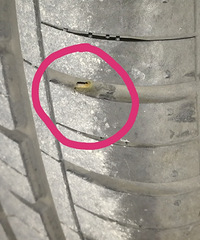 �ֱ���̥�ˣ�Ҫ����