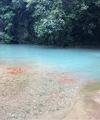 һ쾭ļŮɽҲˣһĸо